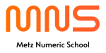 METZ NUMERIC SCHOOL